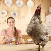 Recipes & Cooking related image